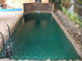Бетонный бассейн в GreenHill